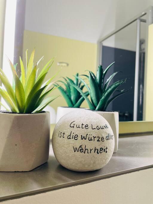 Fewo 20 - Appartement Im Rottalblick - Youngmodern Wohnen, Tiere Willkommen, Bademantelgang Zur Therme, Tv Und Balkon Bad Griesbach (Bavaria) Εξωτερικό φωτογραφία